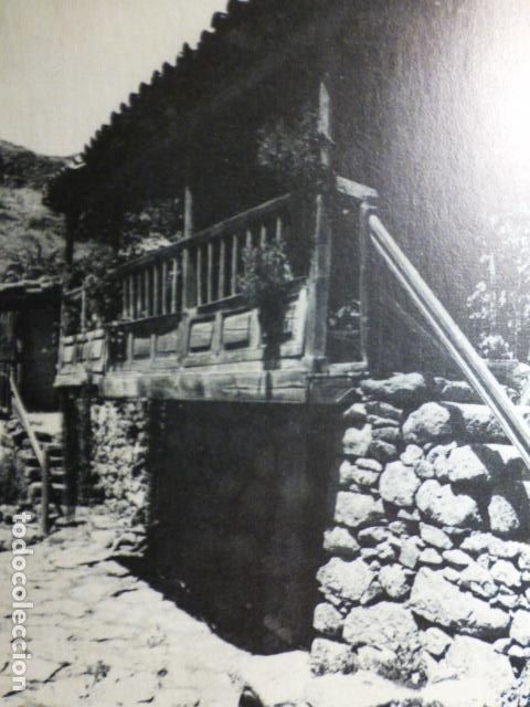 Documenti antichi: LAS CASAS DE VENEGUERA GRAN CANARIA ANTIGUO HUECOGRABADO