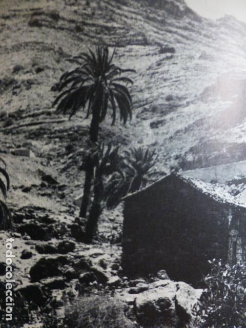 Documentos antiguos: LAS CASAS DE VENEGUERA GRAN CANARIA ANTIGUO HUECOGRABADO