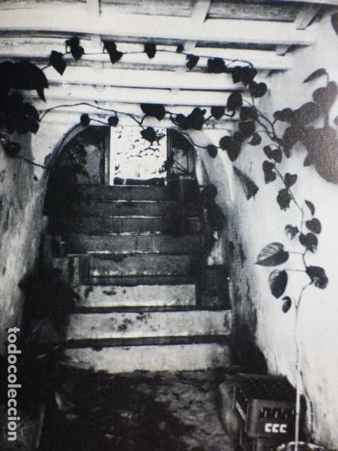 Documents Anciens: VALLEHERMOSO LA GOMERA CANARIAS ANTIGUO HUECOGRABADO