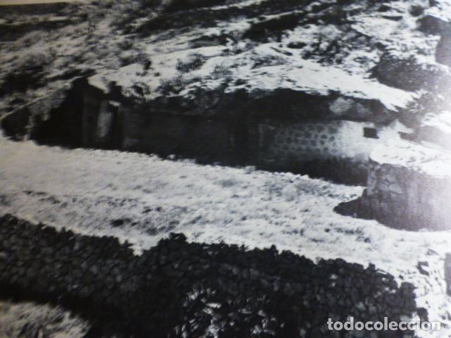 Documenti antichi: ARICO TENERIFE ANTIGUO HUECOGRABADO