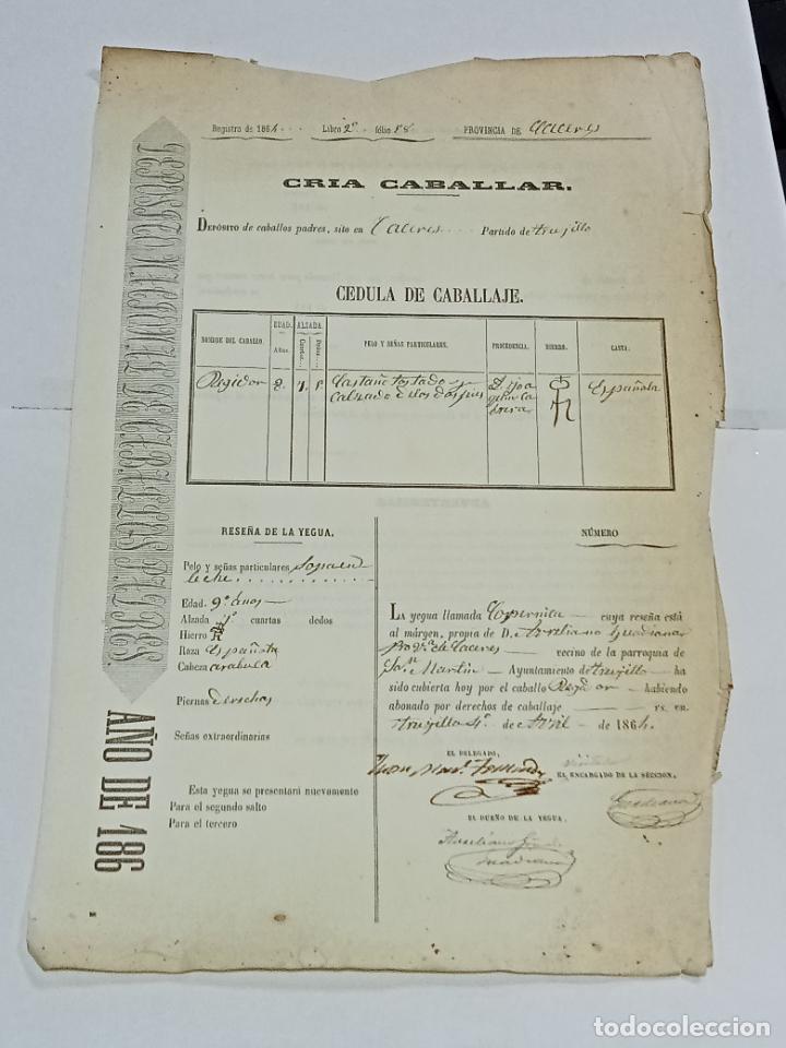 Documentos antigos: CRIA CABALLAR. CEDULA DE CABALLAJE. TRUJILLO 1864. VER