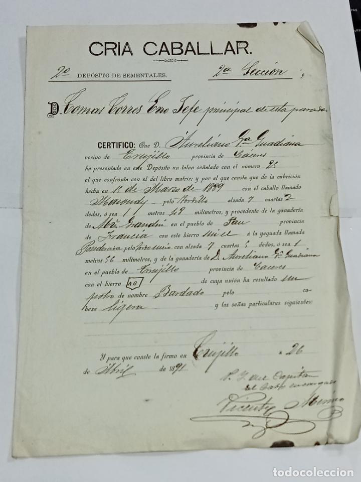 Documentos antigos: CRIA CABALLAR. 2&ordm; DEPOSITOS SEMENTALES. 2&ordf; SECCION. NACIMIENTO DE POTRO. TRUJILLO 1891