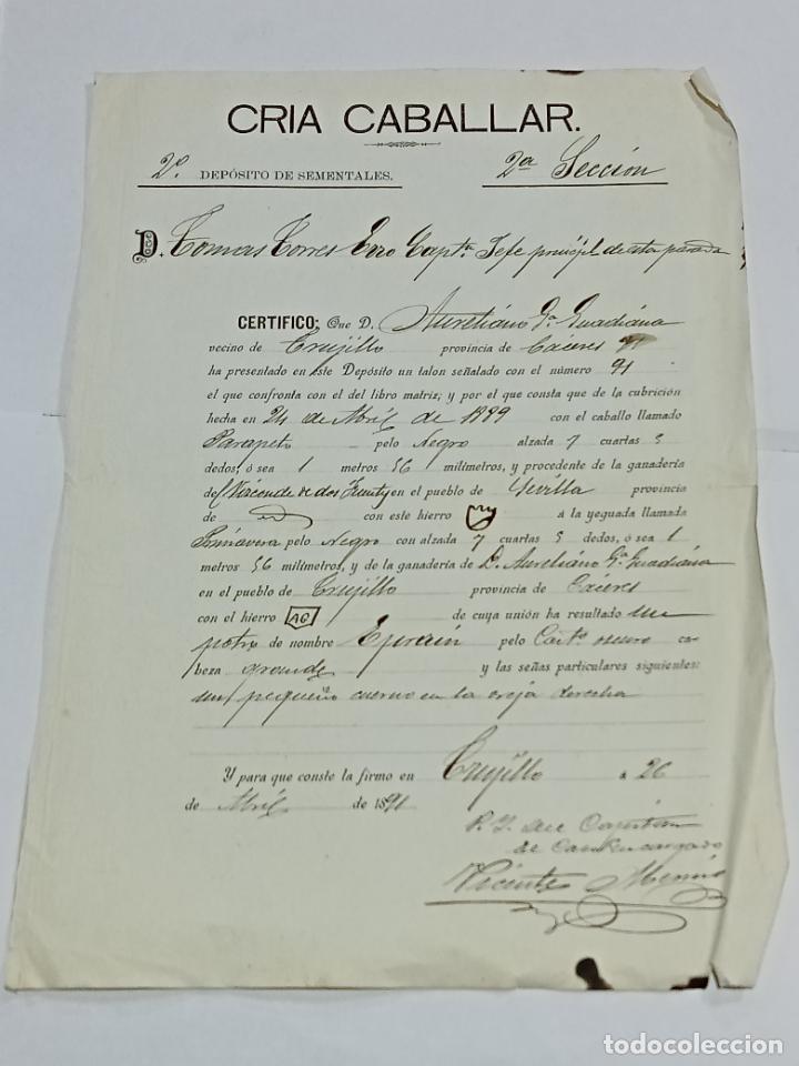 Documentos antigos: CRIA CABALLAR. 2&ordm; DEPOSITOS SEMENTALES. 2&ordf; SECCION. NACIMIENTO DE POTRO. TRUJILLO 1892