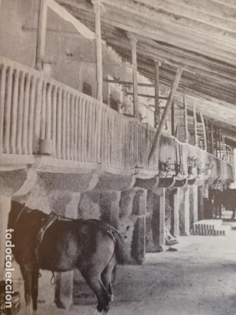 Documentos antiguos: LLUCMAJOR MALLORCA ANTIGUO HUECOGRABADO - Foto 1