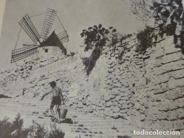 Old Documents: PALMA DE MALLORCA ANTIGUO HUECOGRABADO