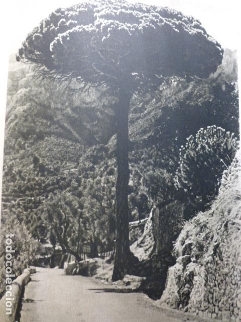 Documenti antichi: DEI&Agrave; MALLORCA ANTIGUO HUECOGRABADO