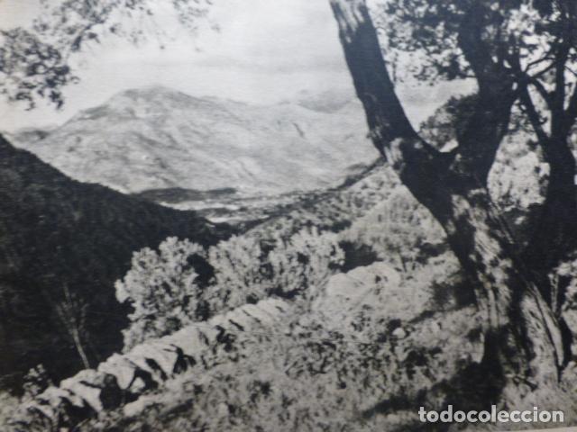 Documentos antiguos: SOLLER MALLORCA ANTIGUO HUECOGRABADO - Foto 1