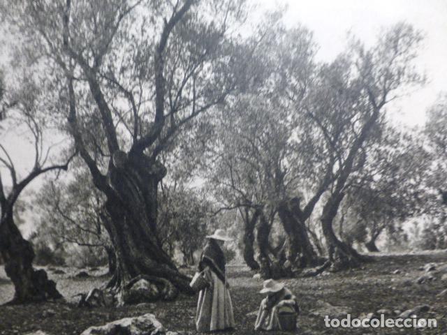 Alte Dokumente: CAN SALES POLLENSA MALLORCA ANTIGUO HUECOGRABADO