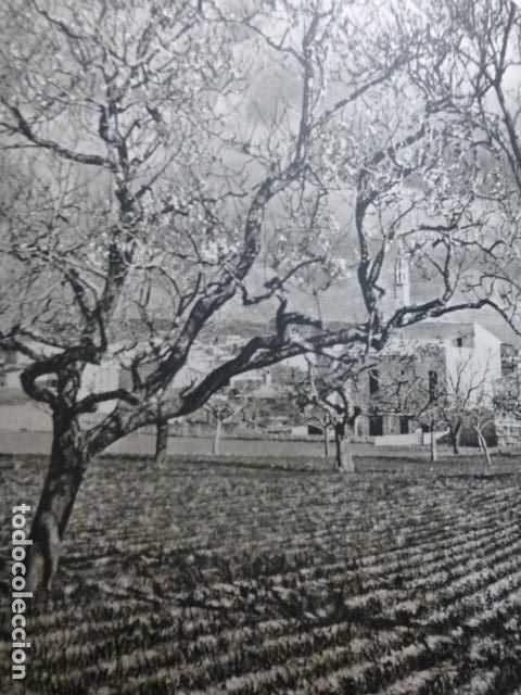 Documentos antiguos: MANACOR MALLORCA ANTIGUO HUECOGRABADO - Foto 1