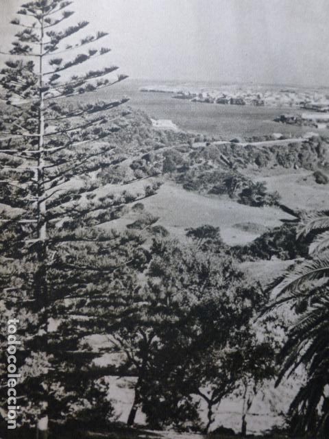 Documentos antiguos: MENORCA PREDIO DE SAN ANTONIO ANTIGUO HUECOGRABADO