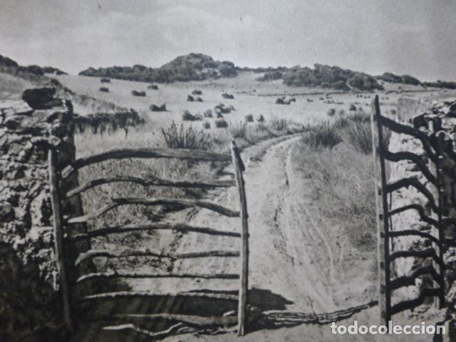 Alte Dokumente: MENORCA PAISAJE ANTIGUO HUECOGRABADO