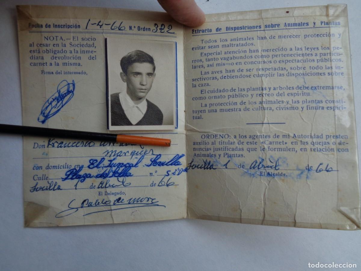 Documentos antiguos: FEDERACION ESPA&Ntilde;OLA SOCIEDADES PROTECTORA DE ANIMALES Y PLANTAS: CARNET INFANTIL. SEVILLA, 1966