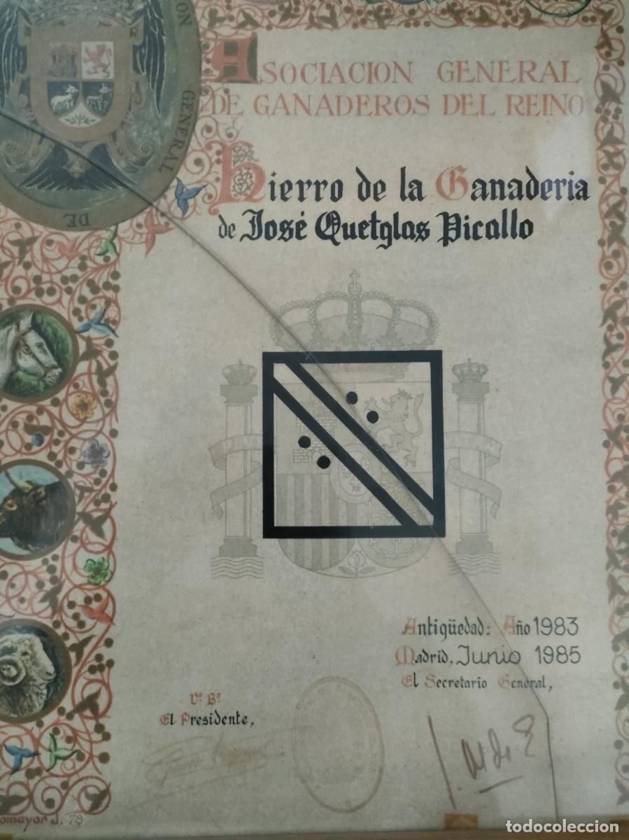 Documentos antiguos: TITULO DE PROPIEDAD DE HIERRO GANADERO - MADRID JUNIO 1985 - Foto 2