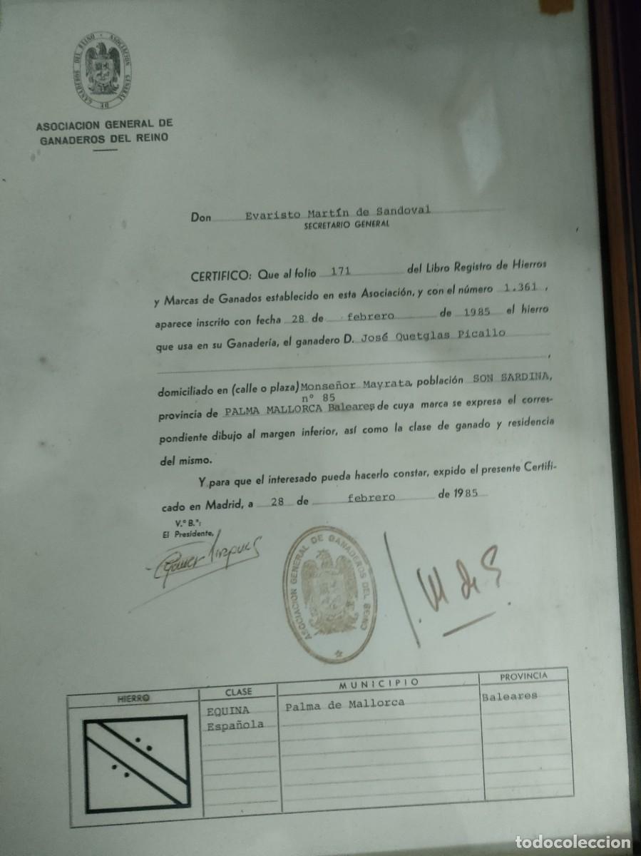 Documentos antiguos: TITULO DE PROPIEDAD DE HIERRO GANADERO - MADRID JUNIO 1985 - Foto 3