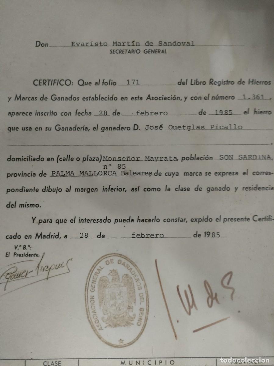 Documentos antiguos: TITULO DE PROPIEDAD DE HIERRO GANADERO - MADRID JUNIO 1985 - Foto 4