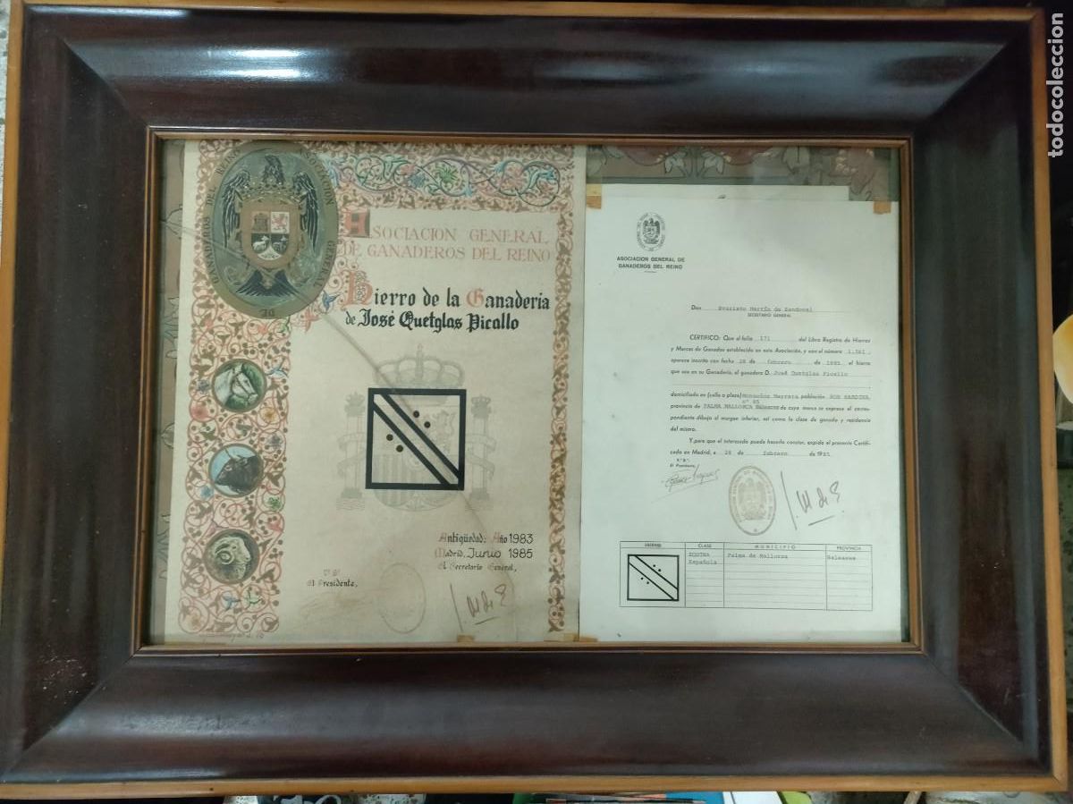 Documentos antiguos: TITULO DE PROPIEDAD DE HIERRO GANADERO - MADRID JUNIO 1985 - Foto 1