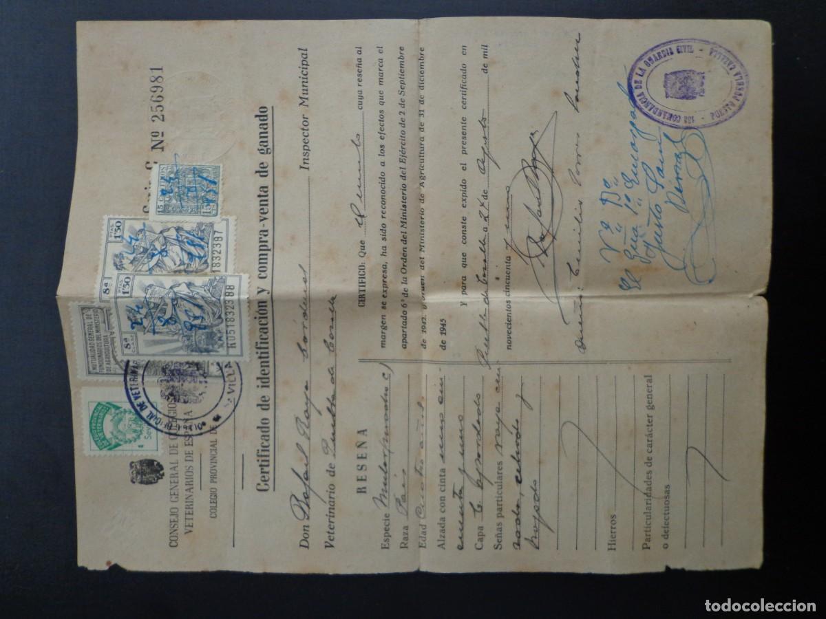 Documentos antiguos: CERTIFICADO COMPRA VENTA TIMBRADO y SELLADO 1951 // COLEGIO VETERINARIOS COMANDANCIA GUARDIA CIVIL