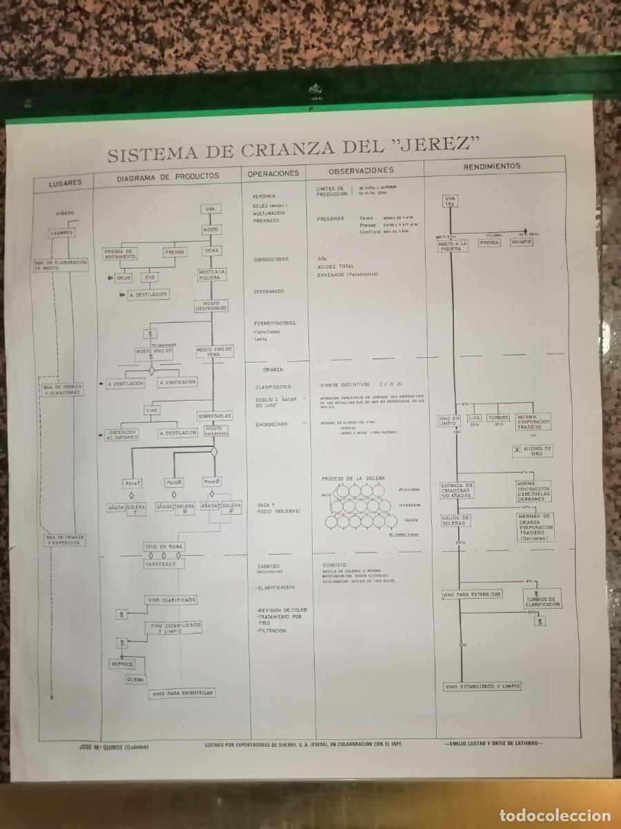 Documentos antiguos: CRIANZA VINOS DE JEREZ - Foto 1