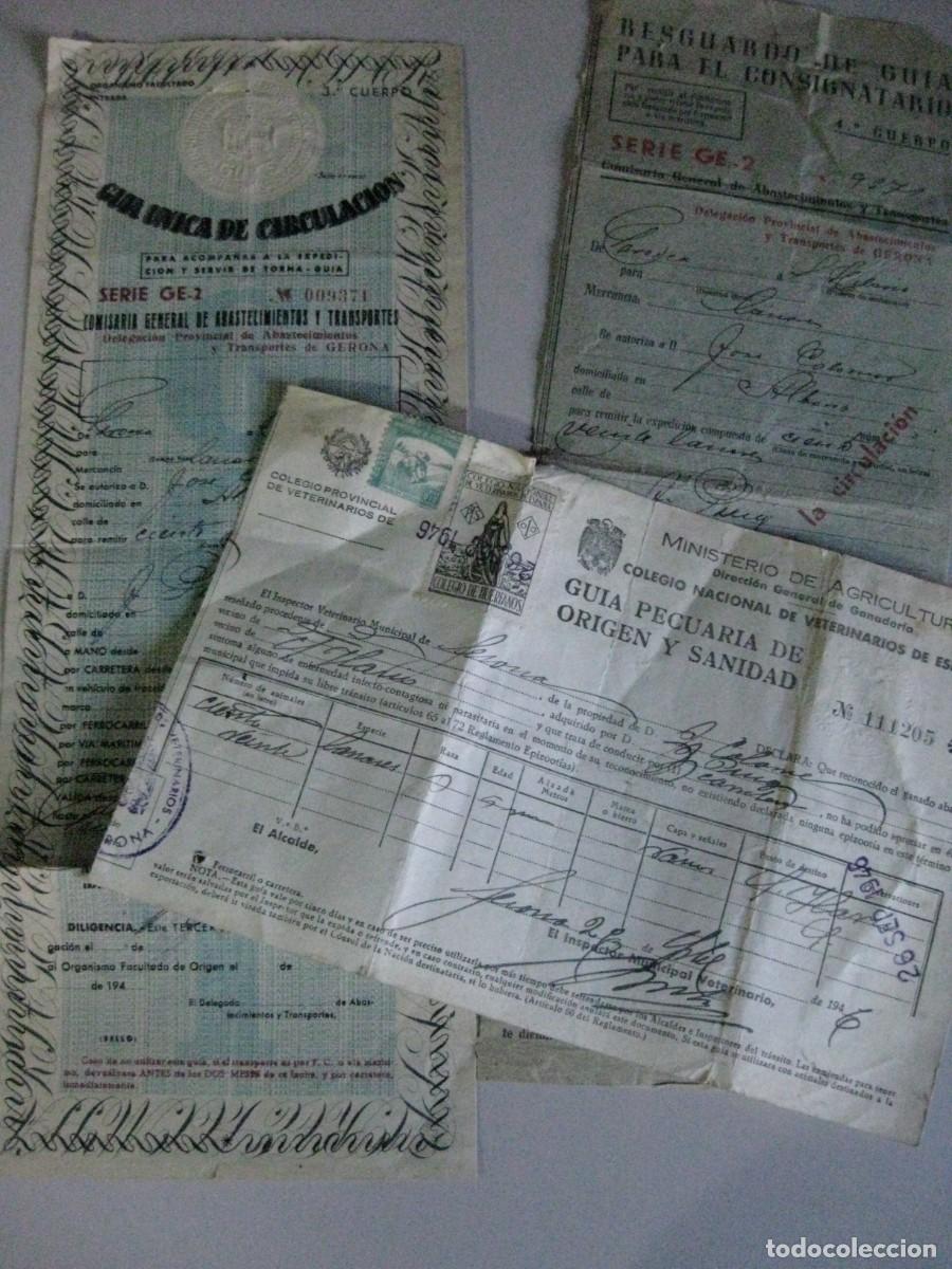 Documentos antiguos: GUIA UNICA DE CIRCULACION / GUIA PECUARIA DE ORIGEN Y SANIDAD **A&Ntilde;O 1946** GERONA A SAN HILARIO