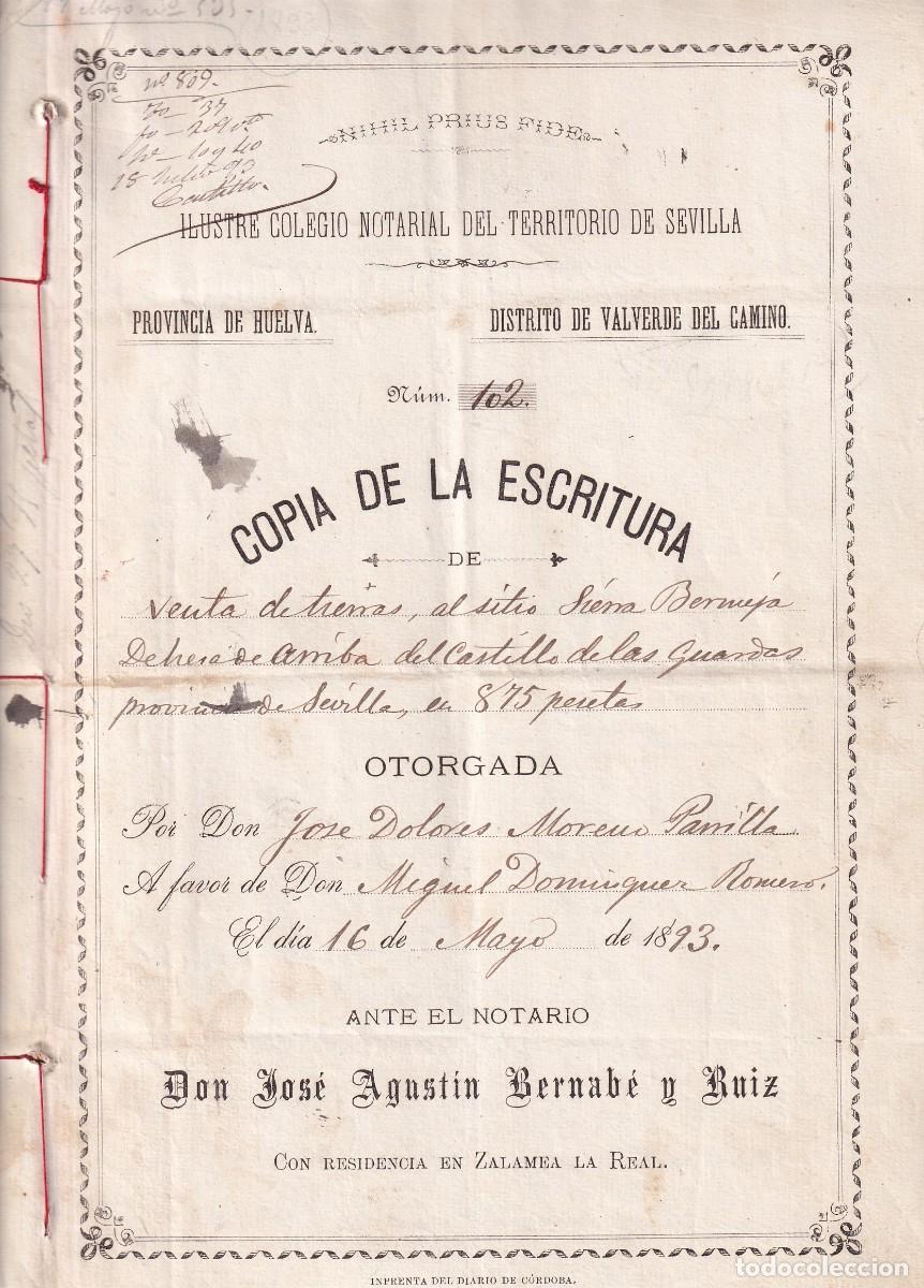 Documentos antiguos: Villa de Nerva, Huelva, venta tierras Dehesa de Arriba en Sierra Bermuja del Castillo de las Guardas