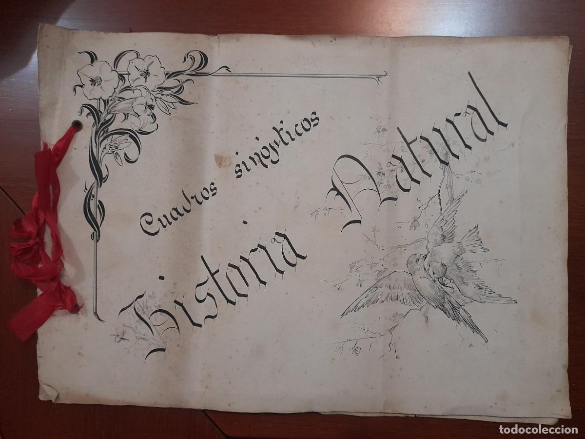Documentos antiguos: 1921 VALENCIA CUADERNO TRABAJO ESCOLAR CUADROS SINOPTICOS HISTORIA NATURAL.