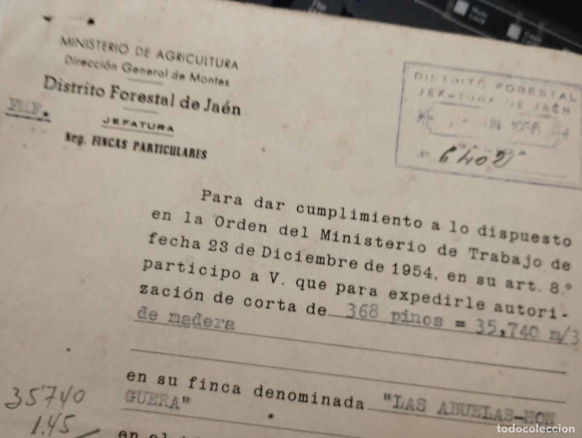 Documentos antiguos: DIRECCION GENERAL DE MONTES DISTRITO FORESTAL JAEN JEFATURA.