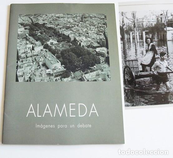 Documentos antiguos: ALAMEDA IM&Aacute;GENES PARA UN DEBATE - GU&Iacute;A DE EXPOSICI&Oacute;N - A. DE H&Eacute;RCULES - SEVILLA - URBANISMO - CIUDAD