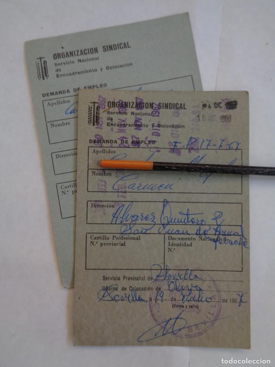 Documents Anciens: ORGANIZACION SINDICAL -ENCUADRAMIENTO Y COLOCACION: CARNET DEL PARO DE MUJER . SEVILLA, 1967
