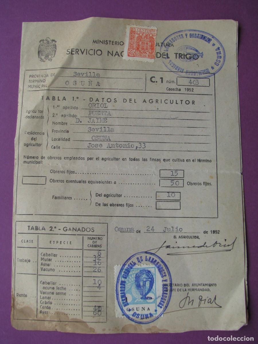 Documentos antiguos: DOCUMENTO, SERVICIO NACIONAL DE TRIGO. OSUNA 1952 - Foto 1