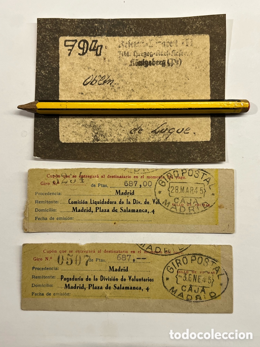 Documentos antiguos: DIVISION AZUL Divisionario herido. Campa&ntilde;a de Rusia. Pagadur&iacute;a de la Divisi&oacute;n de Voluntarios