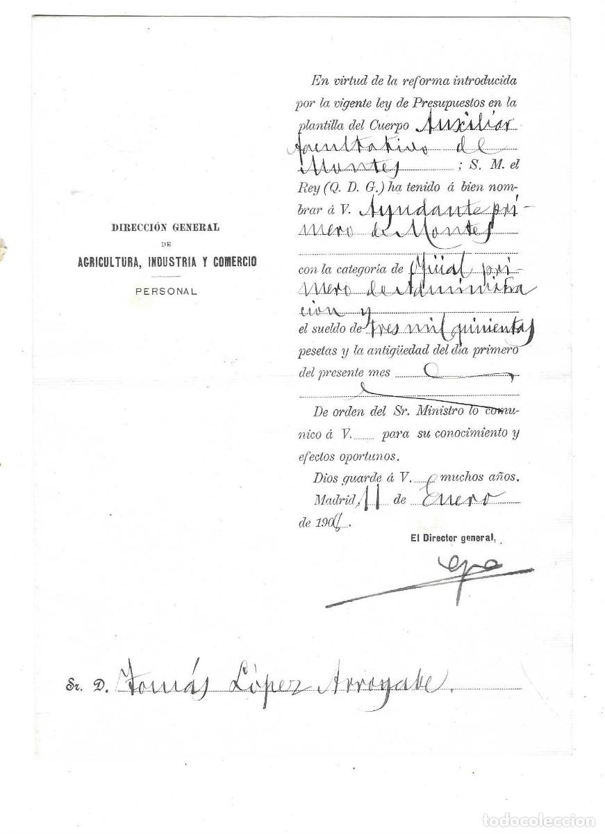 Documentos antiguos: Nombramiento de Ayudante 1&ordm; de Montes. 1908. Tom&aacute;s L&oacute;pez Arr&oacute;yabe. &Aacute;lava.