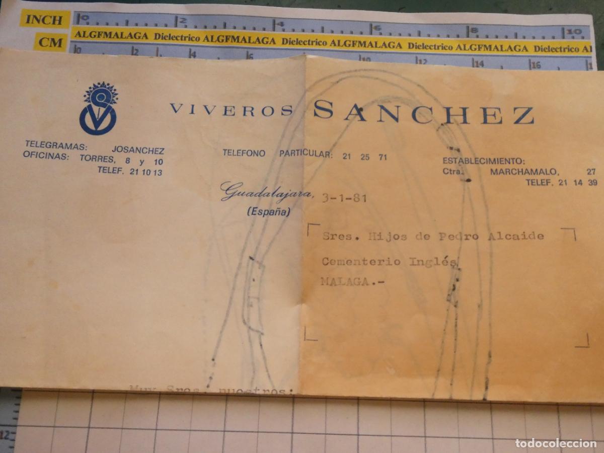 Documentos antiguos: DOCUMENTO VIVEROS S&Aacute;NCHEZ DE GUADALAJARA A&Ntilde;O 1981 ALMENDROS CIRUELOS CEMENTERIO INGL&Eacute;S M&Aacute;LAGA. 2684