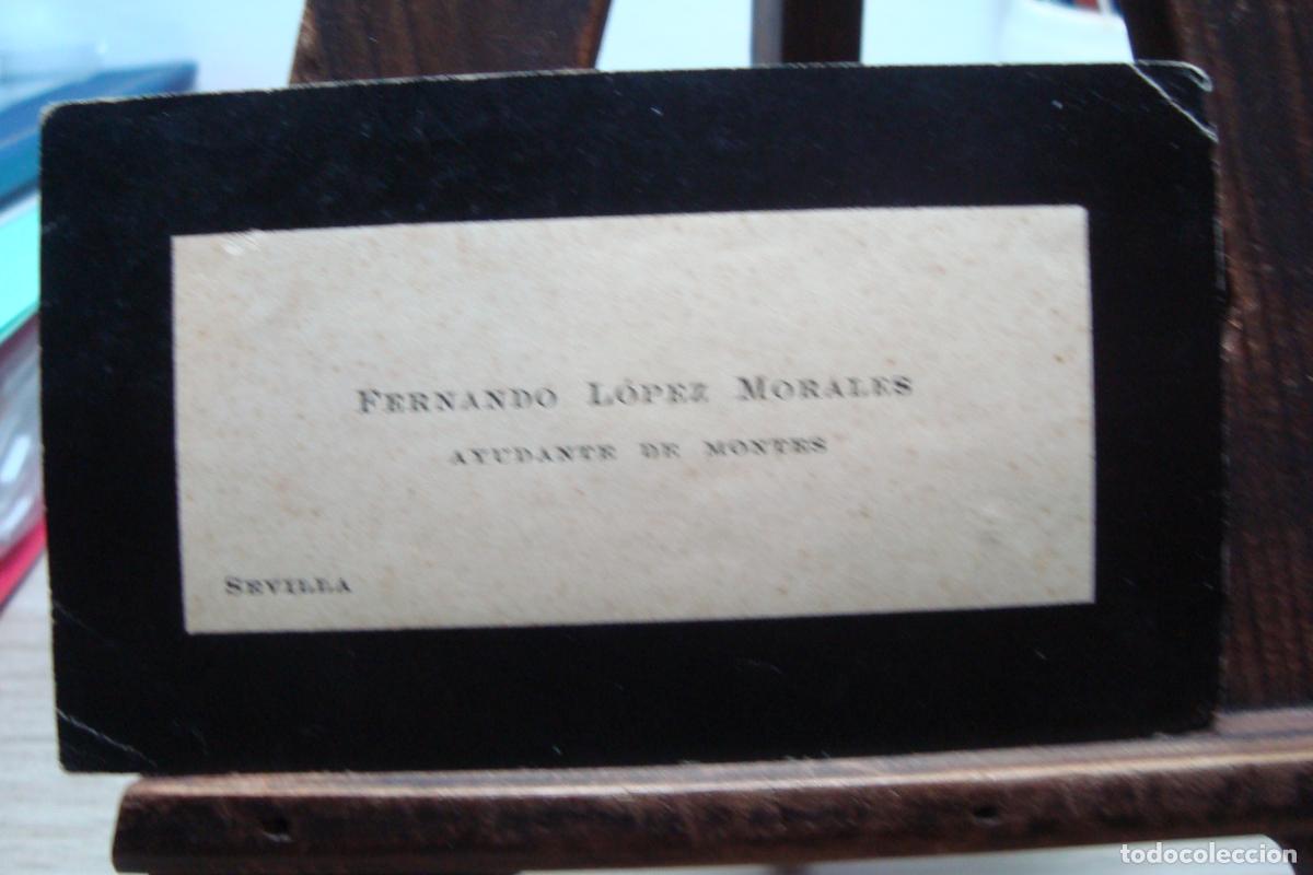 Documentos antiguos: ANTIGUA TARJETA PERSONAL. FERNANDO LOPEZ MORALES. AYUNDANTE DE MONTES SEVILLA
