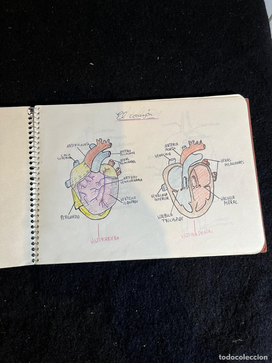 Documents Anciens: Libreta escolar biolog&iacute;a dibujos cient&iacute;ficos antiguos a&ntilde;os 40 50 Vilafranca Carmelitas Hermanas