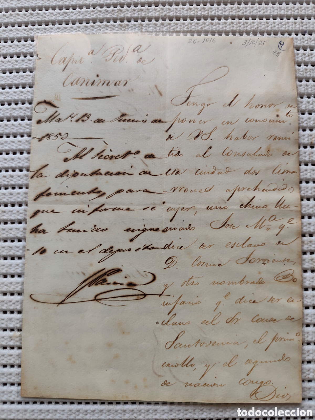 Documentos antiguos: 26-1016 APREHENDIDOS 2 CIMARRONES,1 CHINO JOSE Y OTRO CRIOLLO BONIFACIO.