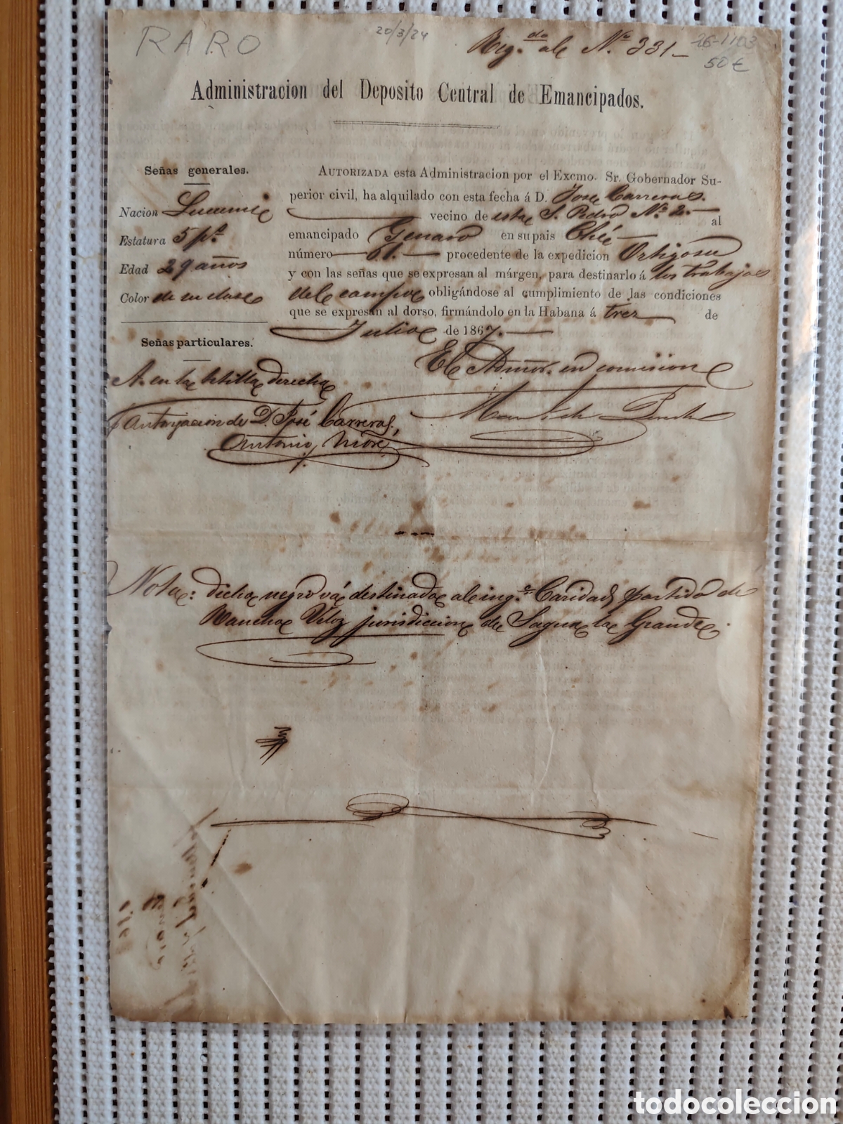 Documentos antiguos: 26-1103 EL GOBERNADOR HA ALQUILADO A D.JOSE &Eacute;L EMANCIPADO.
