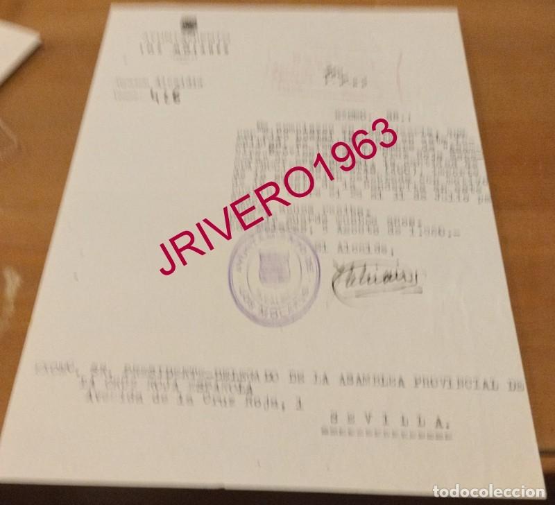 Documentos antiguos: LOS MOLARES, 1960, CELEBRACION FIESTA DE LA BANDERITA, CRUZ ROJA
