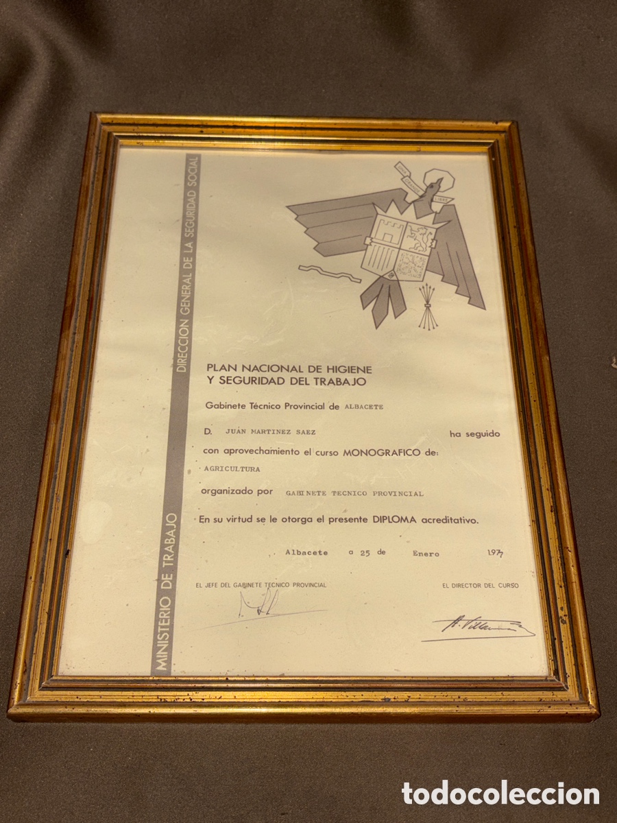 Documentos antiguos: Antiguo diploma acreditativo,PLAN NACIONAL DE HIGIENE Y SEGURIDAD DE TRABAJO,ALBACETE,1977,FALANGE*