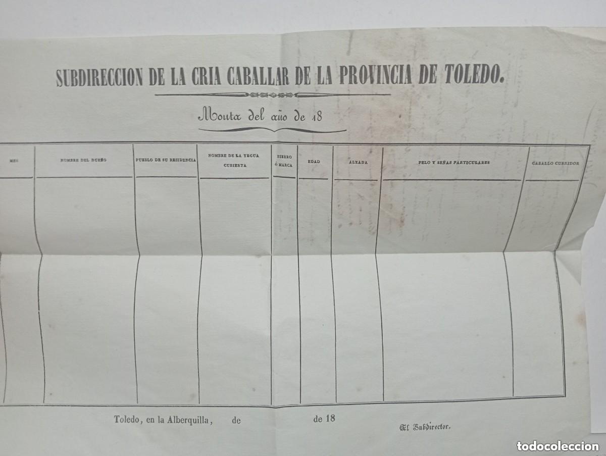 Documents Anciens: SUBDIRECCI&Oacute;N DE LA CRIA CABALLAR DE LA PROVINCIA DE TOLEDO. MONTA DEL A&Ntilde;O DE 18&hellip;EN LA ALBERQUILLA