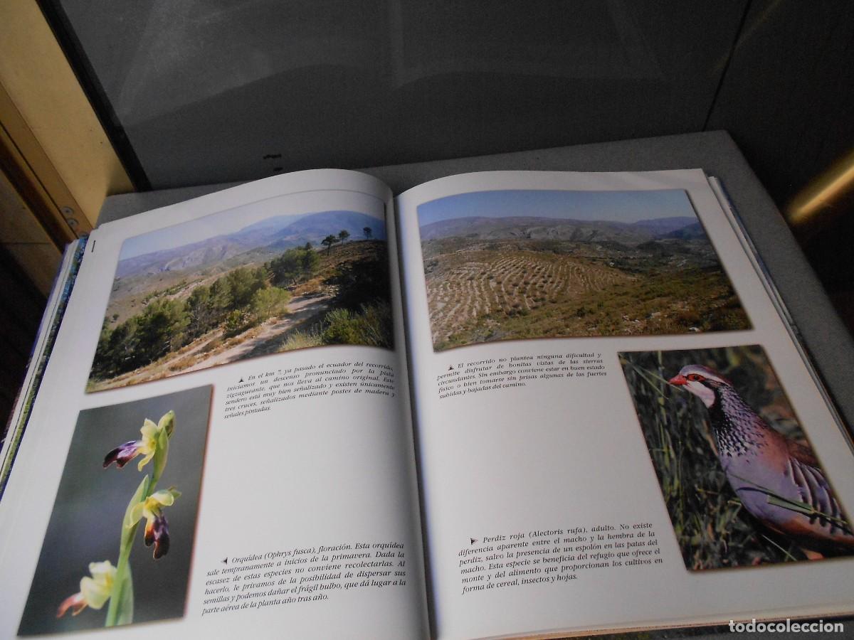 Documentos antiguos: ANDANDO PPOR LA PROVINCIA DE ALICANTE - Foto 12