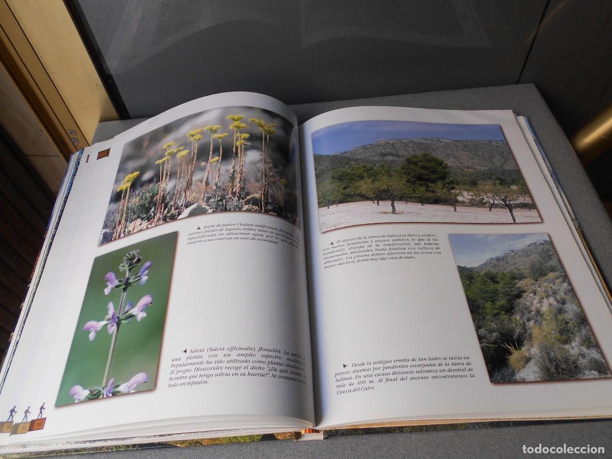 Documentos antiguos: ANDANDO PPOR LA PROVINCIA DE ALICANTE - Foto 14