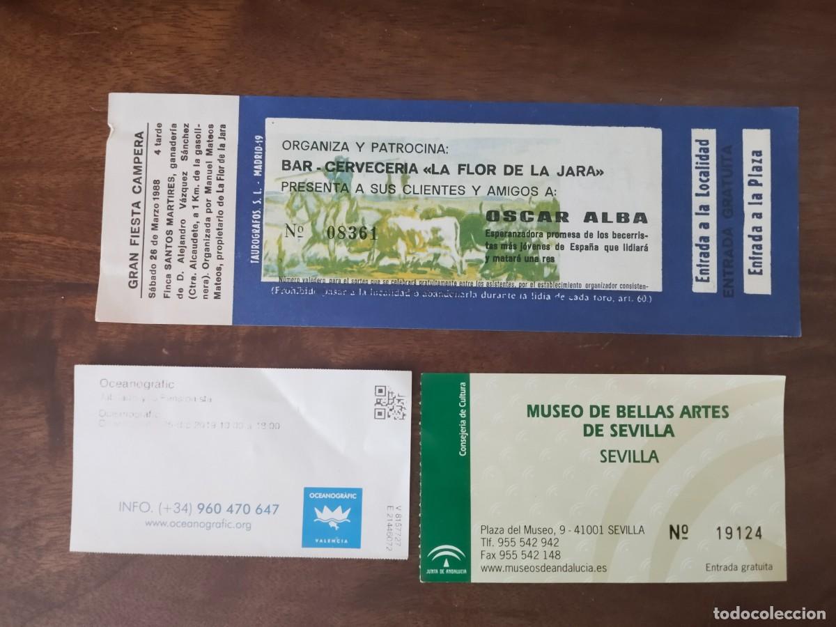 Alte Dokumente: Entradas varias. Capea, Bellas Artes de Sevilla y Oceanografic de Valencia.
