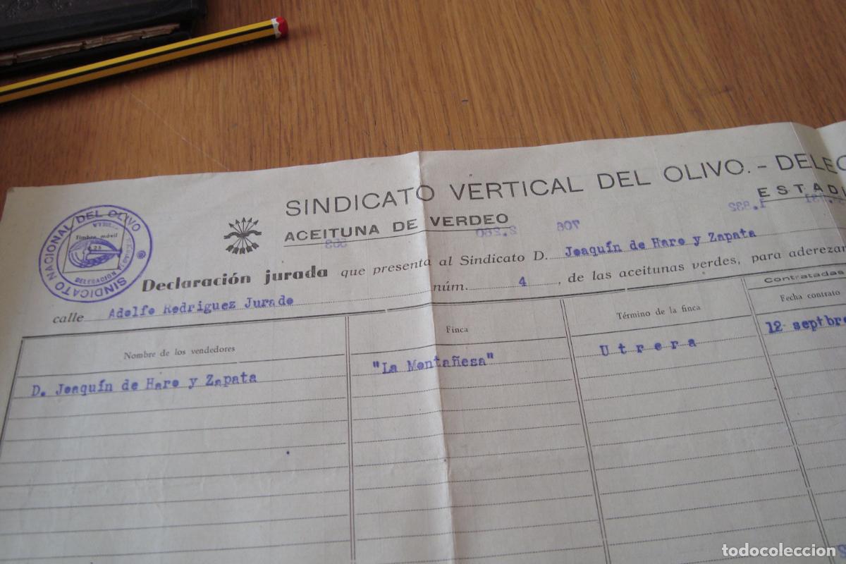 Documentos antiguos: SINDICATO VERTICAL OLIVO DOS HERMANAS SEVILLA 1949 DECLARACION JURADA. ACEITUNA VERDEO. LA MONTA&Ntilde;ESA