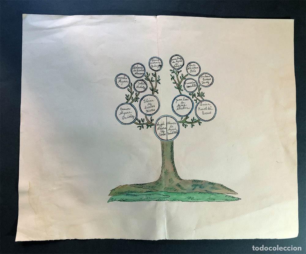 Documentos antiguos: &Aacute;RBOL GENEAL&Oacute;GICO / FAMILIAS ALGARA - AZCUE / C&Aacute;DIZ / JUGUETES MI ALEGR&Iacute;A ( M&Eacute;XICO )