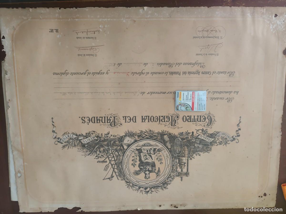 Documentos antiguos: Diploma Agricola Vilafranca del penedes 1919