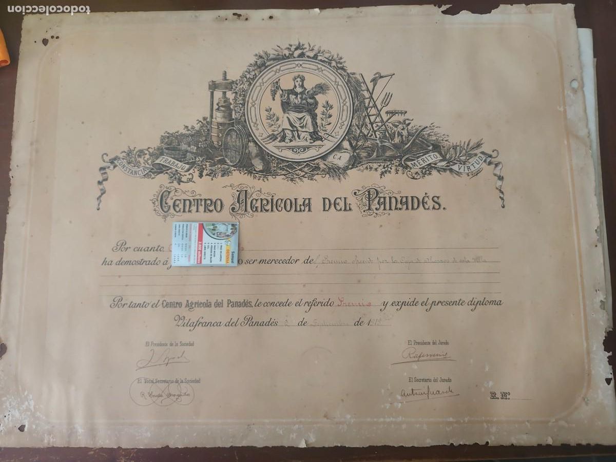 Documentos antiguos: Diploma Agricola Vilafranca del penedes 1919
