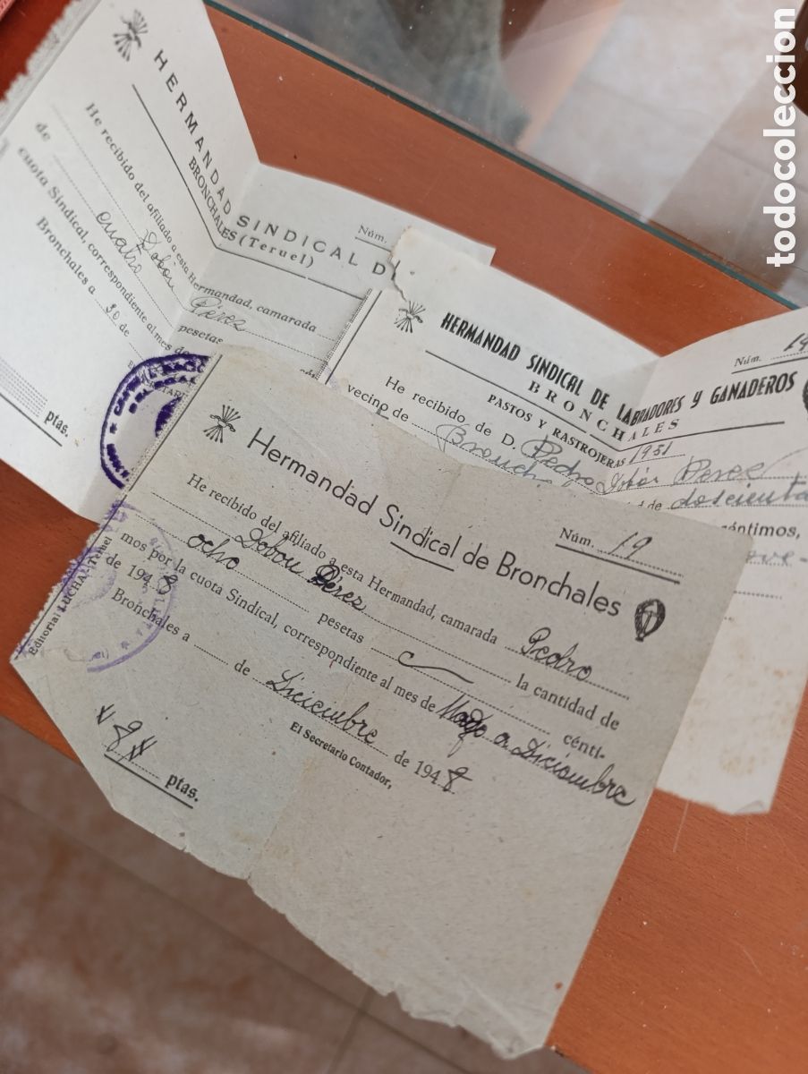 Documentos antiguos: Cartilla a&ntilde;os 1940 y 1950,Hermandad Sindical de Labradores y Ganaderos del municipio de Bronchales