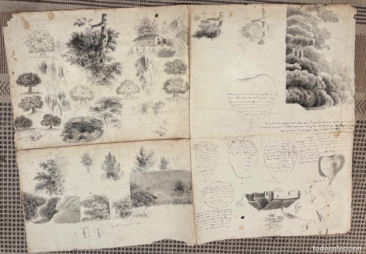 Documentos antiguos: Documento y dibujos sobre las peras hacia 1840