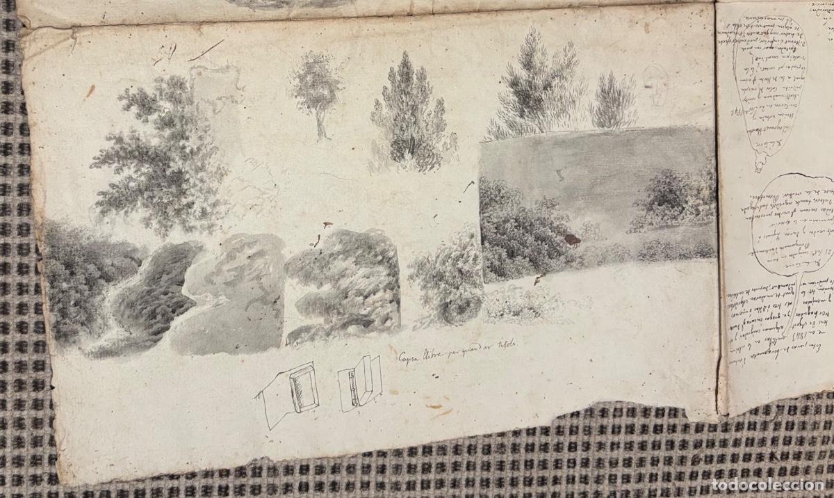 Documentos antiguos: Documento y dibujos sobre las peras hacia 1840 - Foto 2