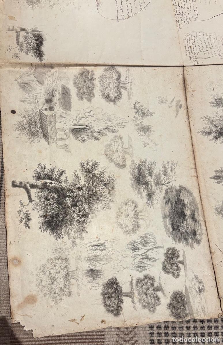 Documentos antiguos: Documento y dibujos sobre las peras hacia 1840 - Foto 3